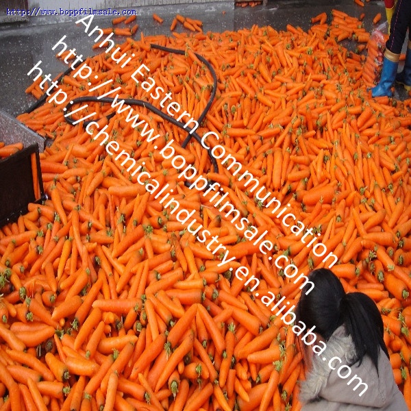 新鲜胡萝卜